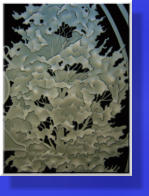 Carved From The Rear Side on Black Mirror