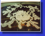 Full Rear Car Window Etched. 
