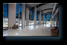 Darker Smoked Window Films