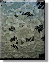 Close-up Shows Rear Side Carving Details
